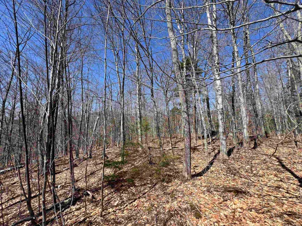 $1,450,000 | Forrester Road, Jamaica, VT 05343