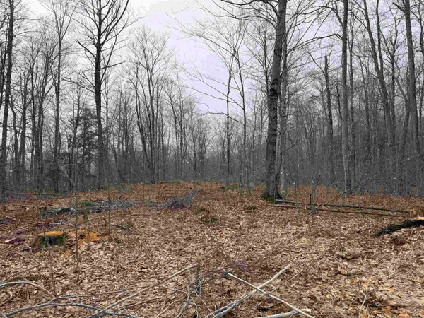 $1,450,000 | Forrester Road, Jamaica, VT 05343