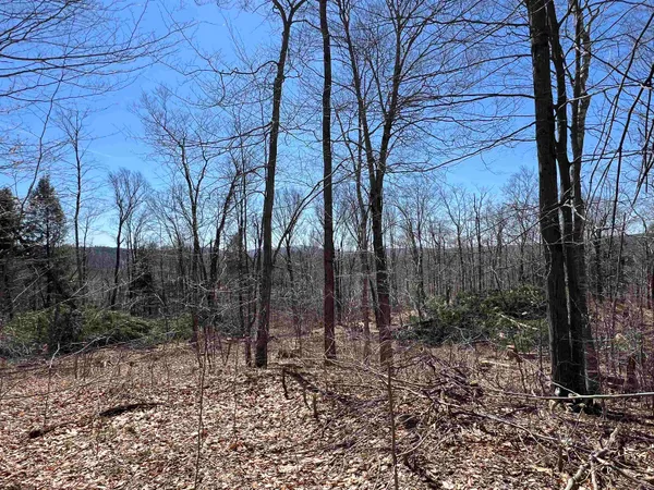 $1,450,000 | Forrester Road, Jamaica, VT 05343