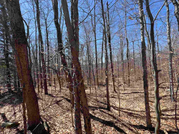 $1,450,000 | Forrester Road, Jamaica, VT 05343