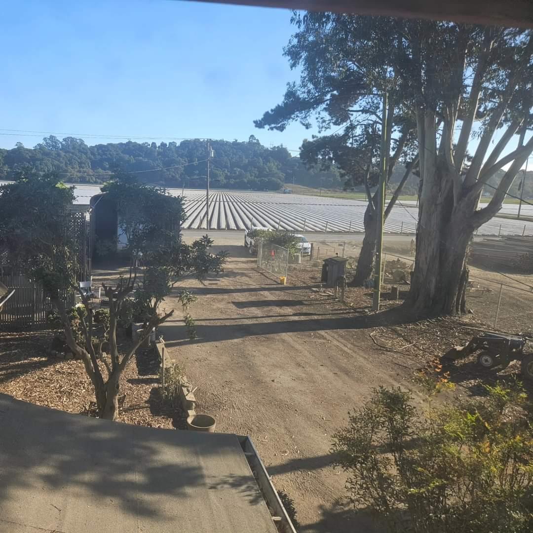 120 Trafton Road Watsonville, CA 95076 - Photo 33 of 43 a view of a yard in front of a house