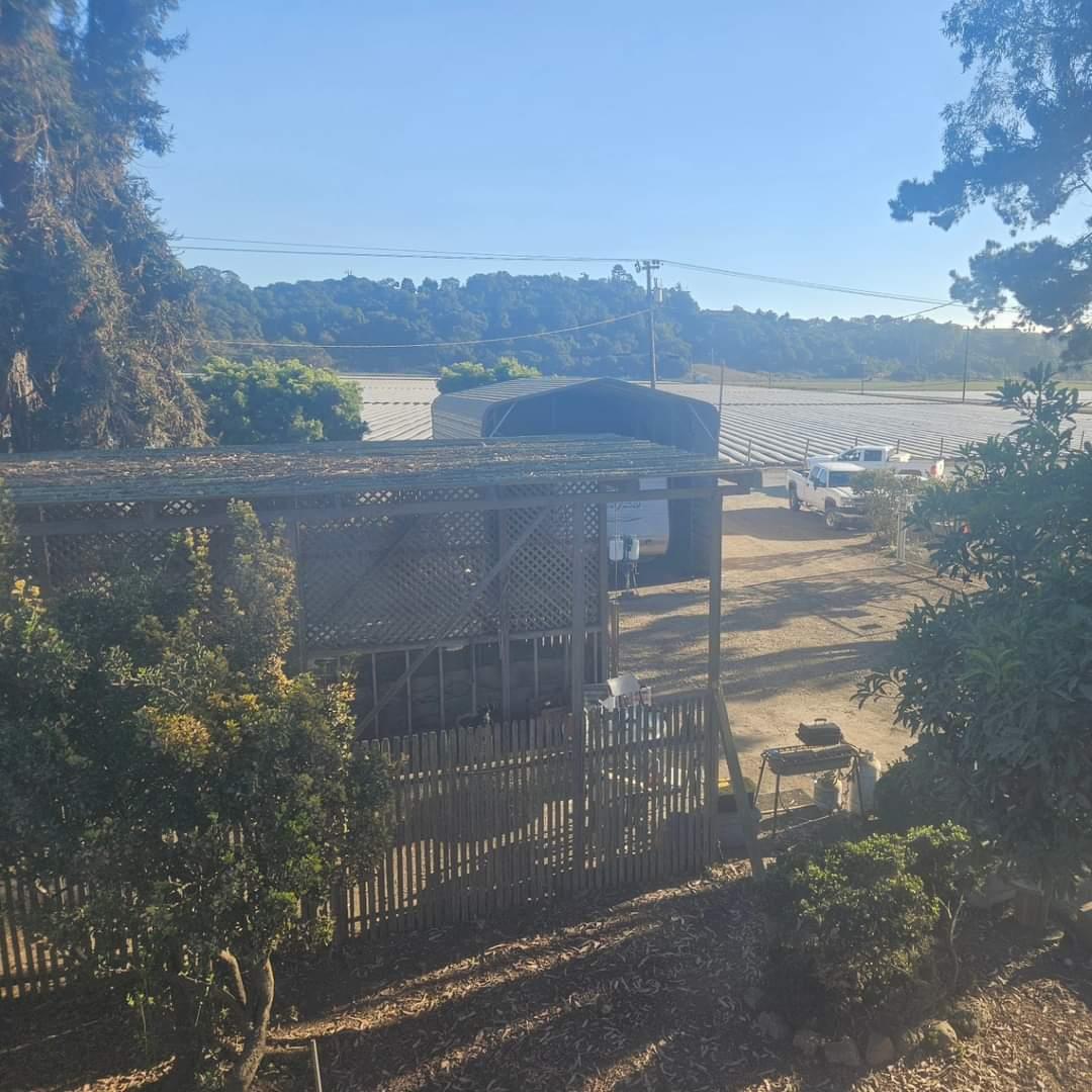 120 Trafton Road Watsonville, CA 95076 - Photo 35 of 43 a view of a lake with a mountain