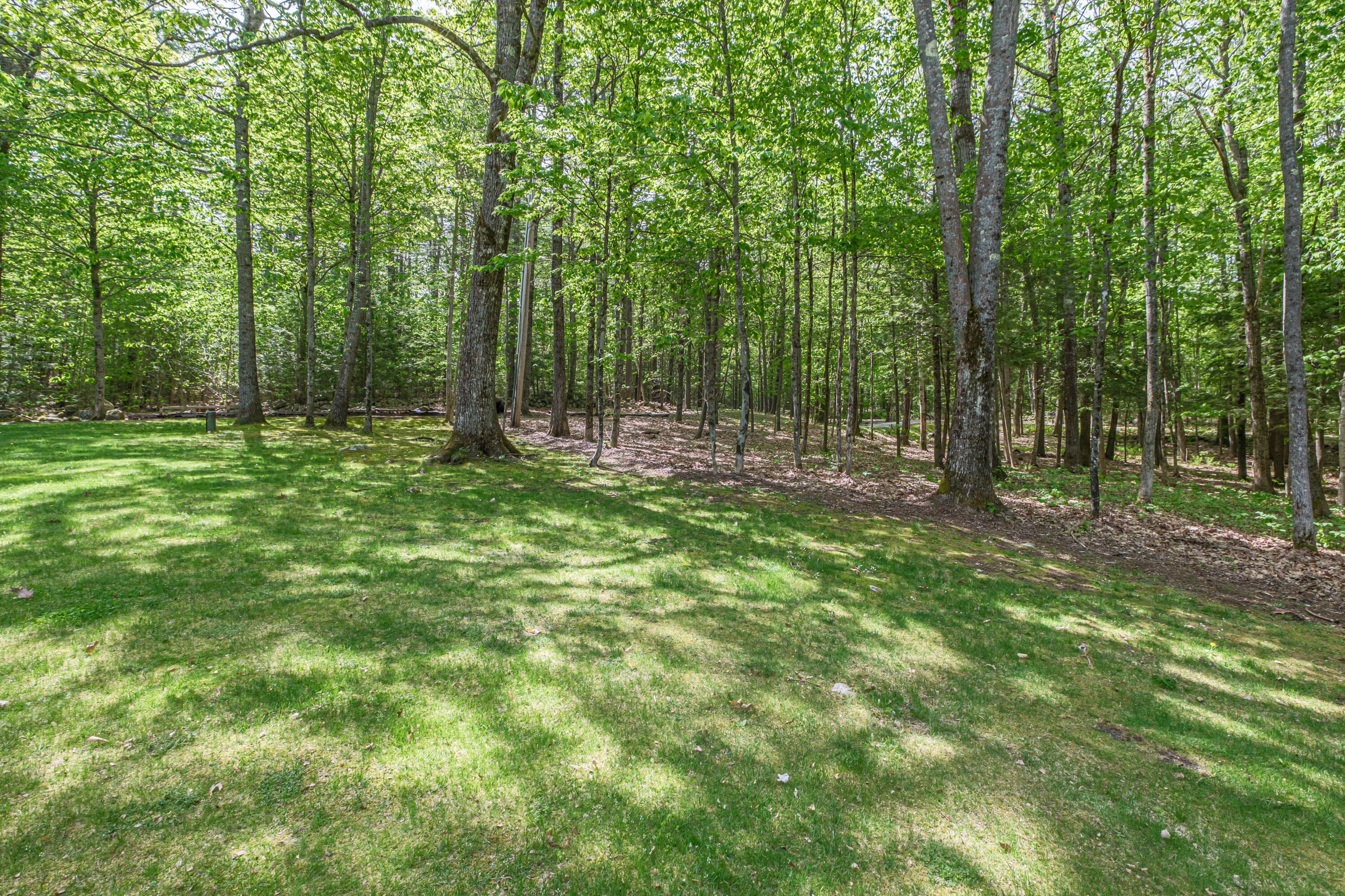 64 Summit Road Gray, ME 04039 - Photo 61 of 66 Front yard
