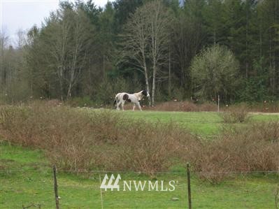 -xxx Martin Ranch Road Rockport, WA 98283 - Photo 1 of 1 Gallery Image 1