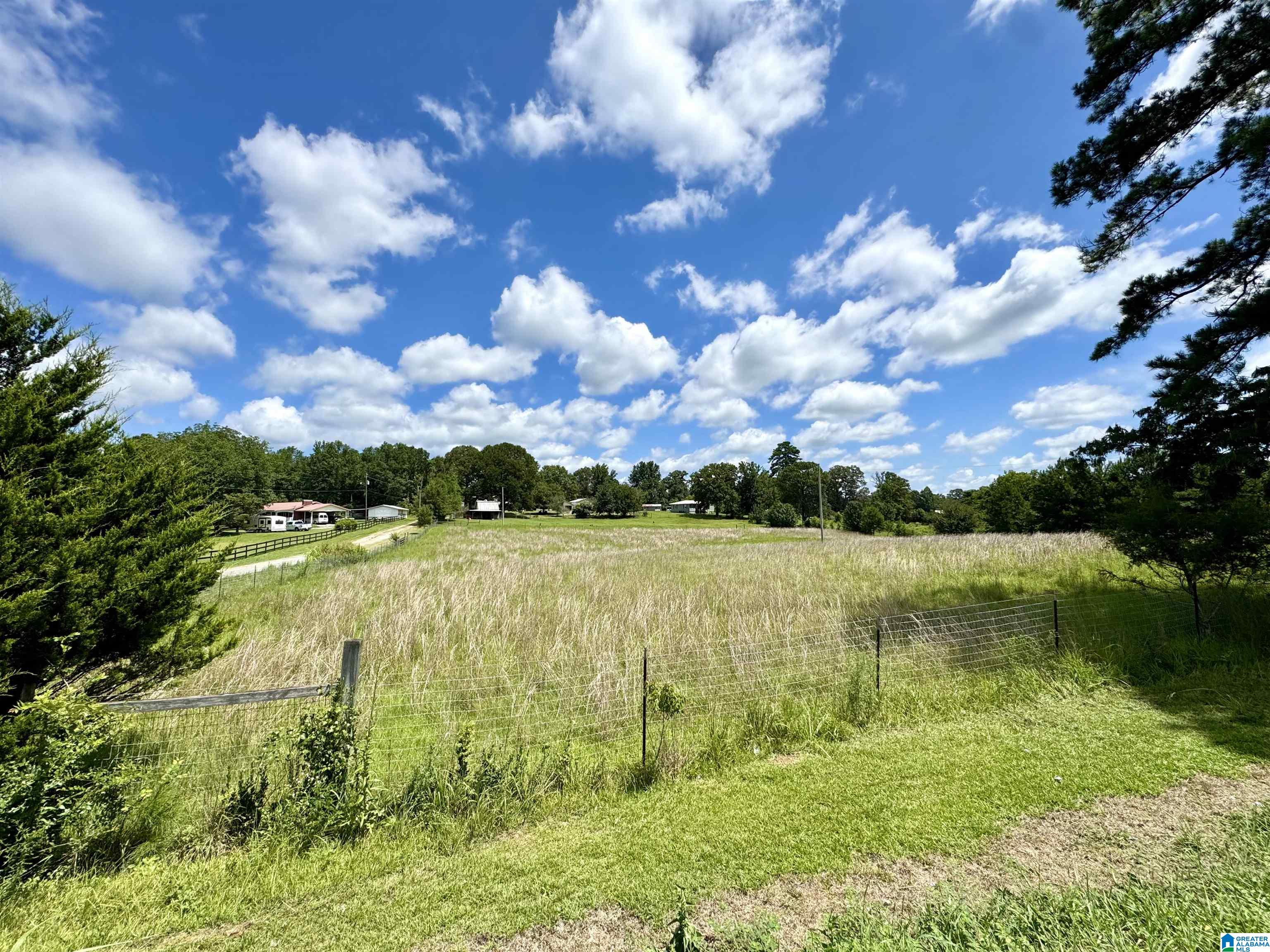 400 Flag Pole Mountain Road Childersburg, AL 35151 - Photo 15 of 19