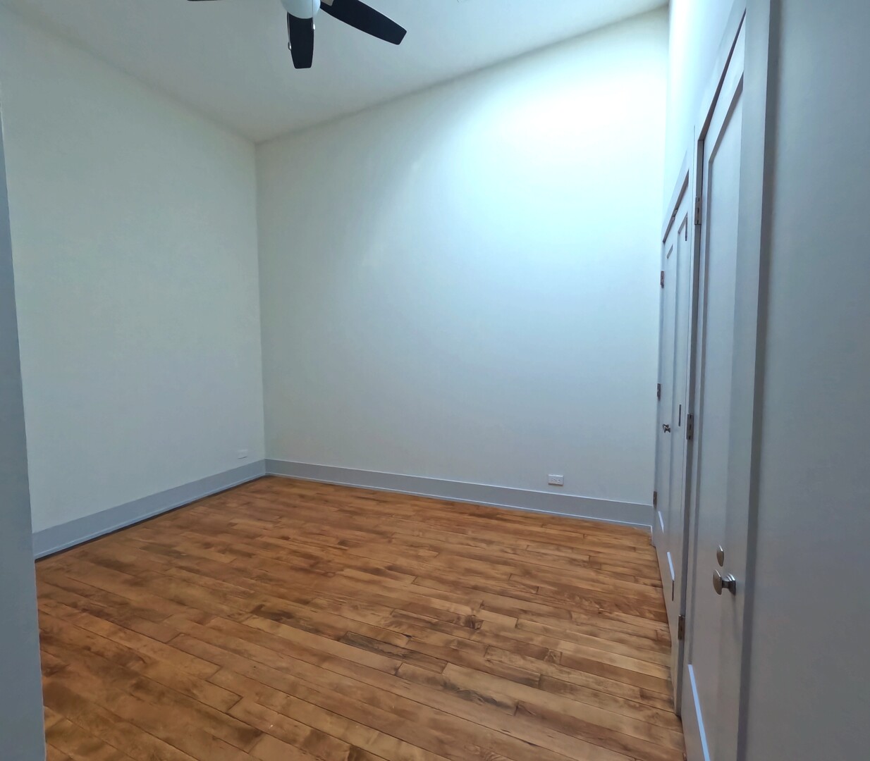 1432 West 21st Street, Unit 321 Chicago, IL 60608 - Photo 6 of 25 an empty room with ceiling fan and window