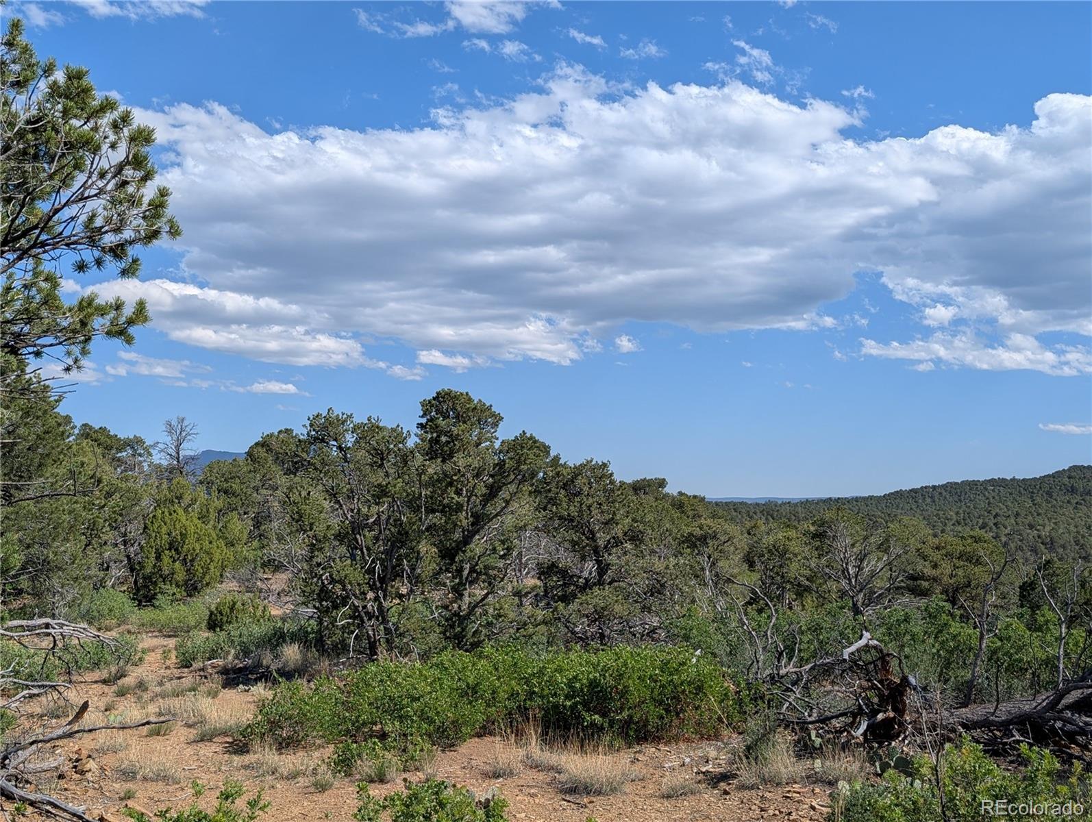 Fishers Peak Ranch Trinidad, CO 81082 - Photo 12 of 34