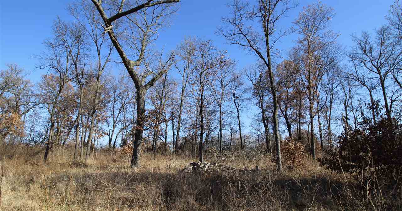 7995 Pin Oak Road Manito, IL 61546 - Photo 30 of 33 Gallery Image 30