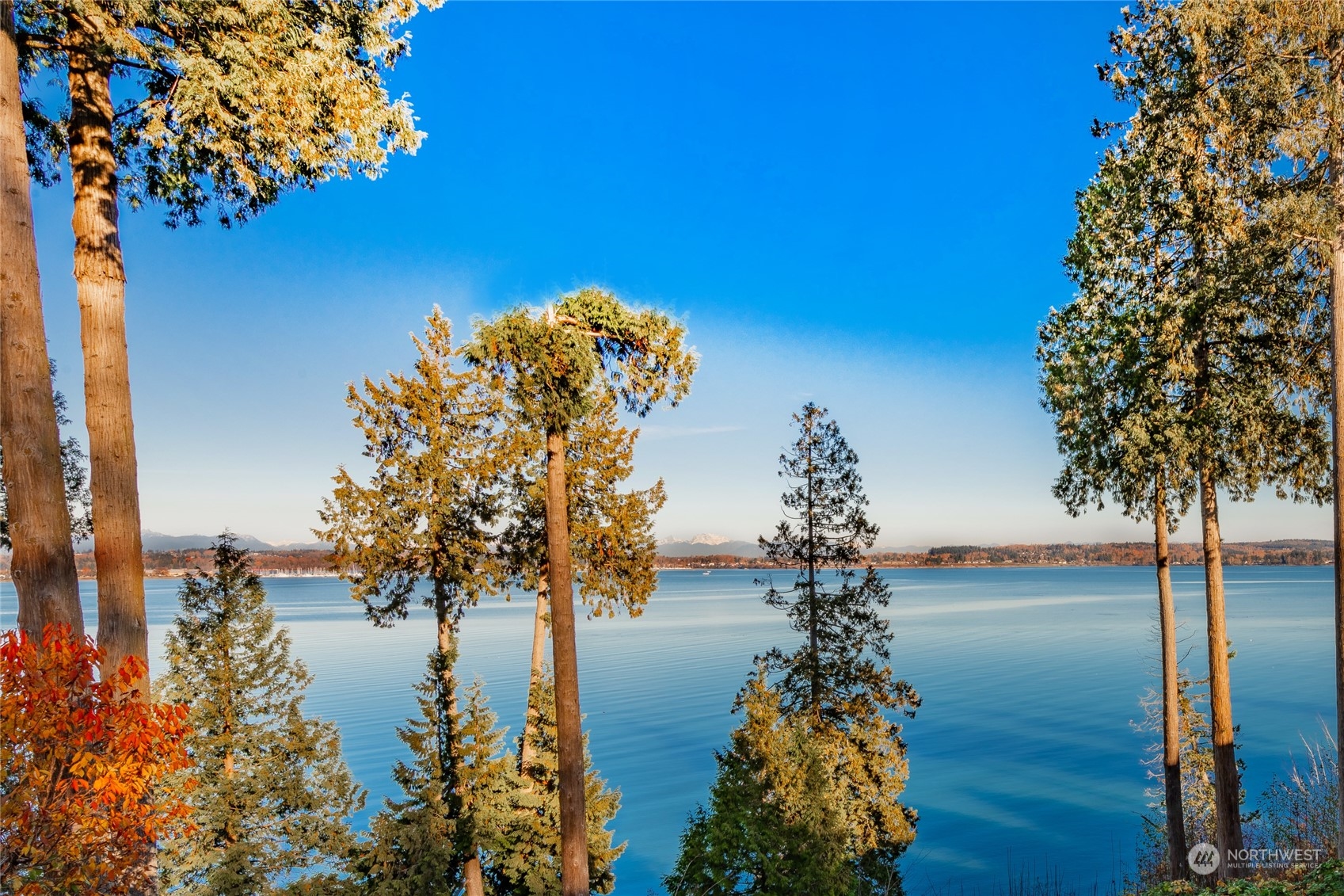 5436 Night Heron Drive Blaine, WA 98230 - Photo 36 of 40 a picture of lake