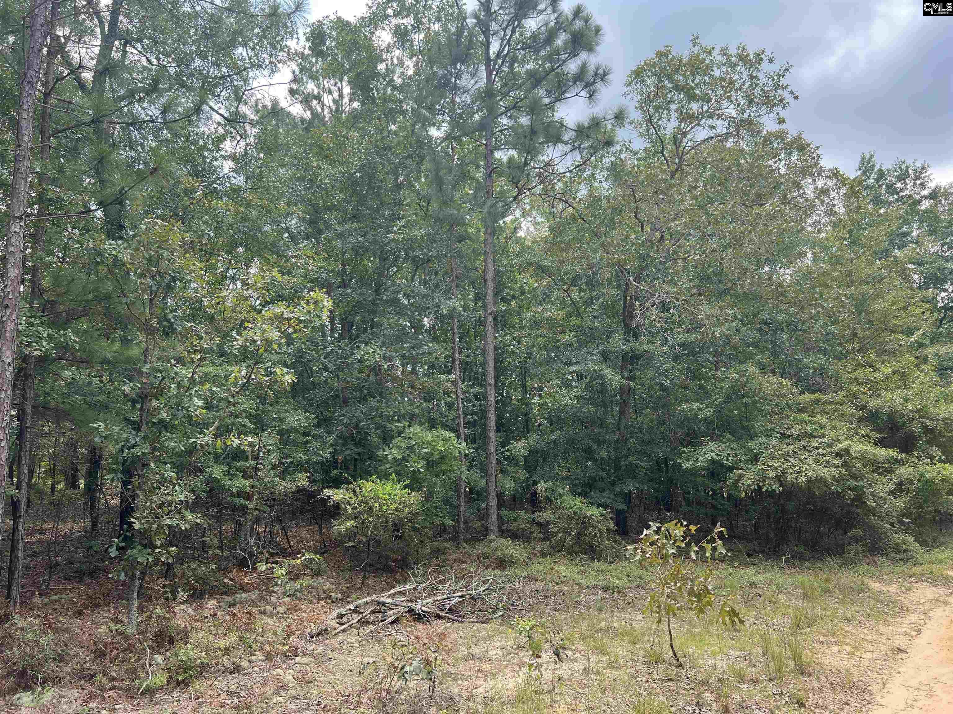 0 Cliff Road Pelion, SC 29123 - Photo 15 of 28