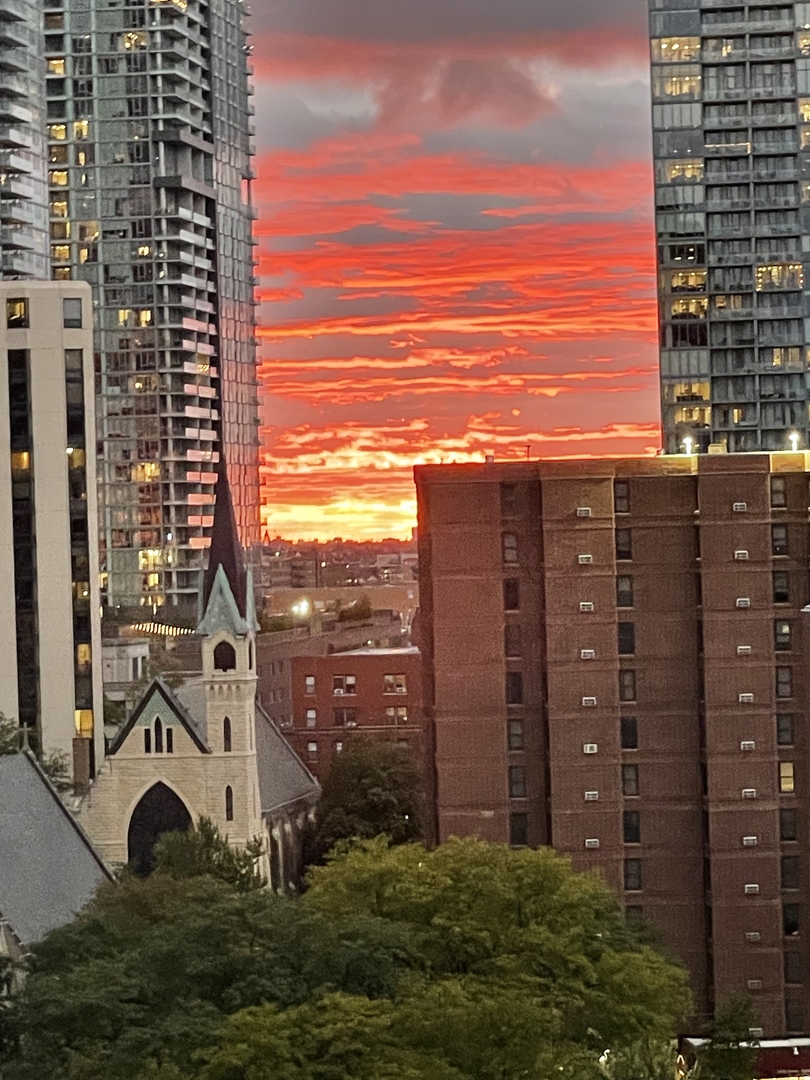 1155 North Dearborn Street, Unit 1003 Chicago, IL 60610 - Photo 26 of 28 a view of a building