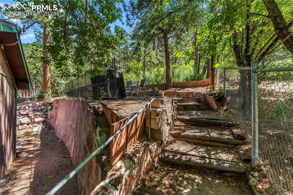 8234 Highway 24 Cascade, CO 80809 - Photo 19 of 23