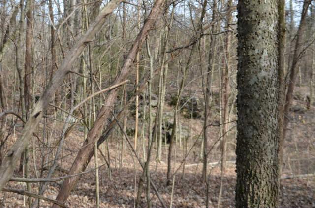1 Saundersville Rd Mount Mount Juliet, TN 37122 - Photo 4 of 5 Gallery Image 4