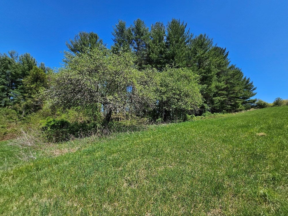 Tbd Windy Ridge Lane Galax, VA 24333 - Photo 10 of 18 Gallery Image 10