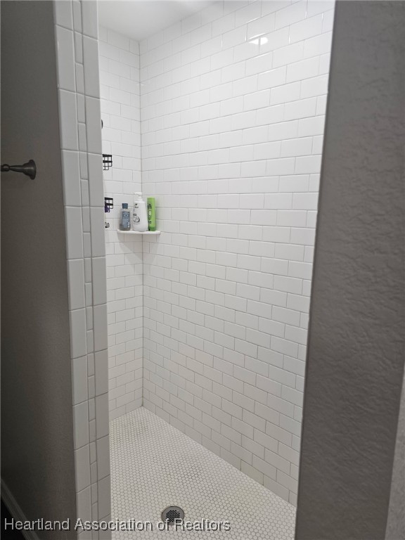565 Stephens Road Wauchula, FL 33873 - Photo 15 of 36 a bathroom with a shower
