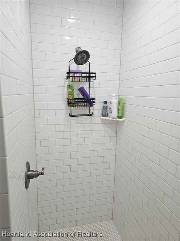 565 Stephens Road Wauchula, FL 33873 - Photo 16 of 36 a bathroom with a shower and a sink