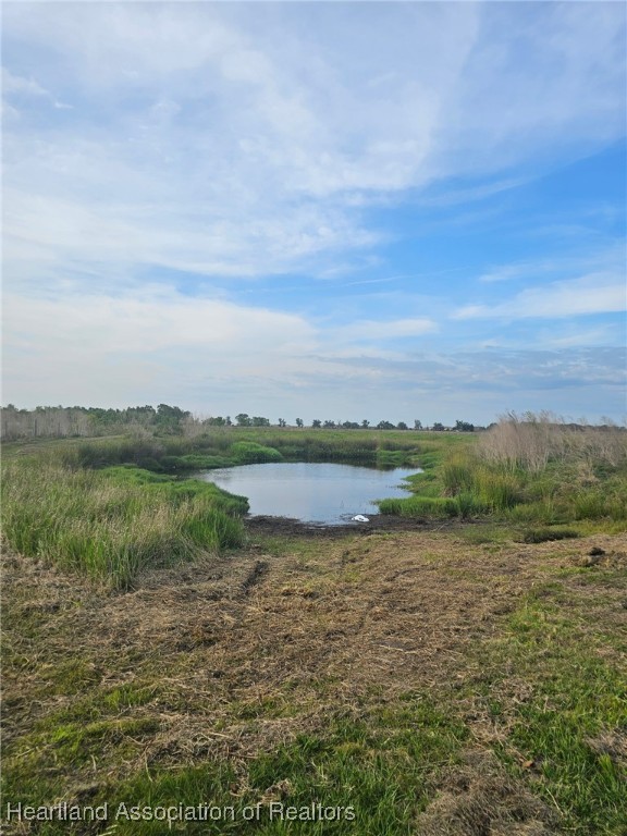 565 Stephens Road Wauchula, FL 33873 - Photo 23 of 36 a view of lake with green field