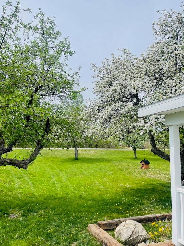 9925 West Long Lake Road Alpena, MI 49707 - Photo 55 of 55 Gallery Image 55
