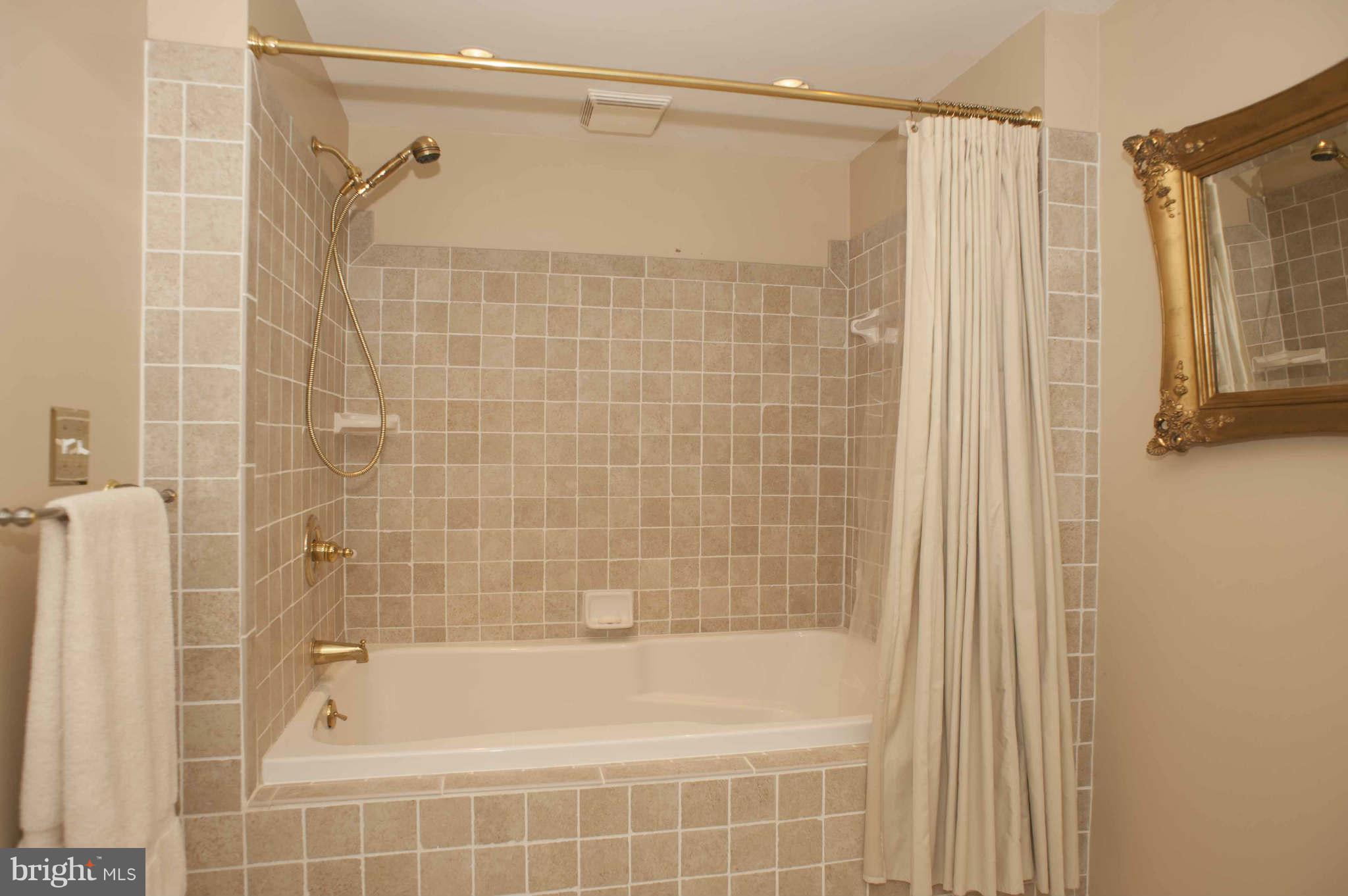 13400 Cambria Farms Road Phoenix, MD 21131 - Photo 16 of 30 Bath (Master)