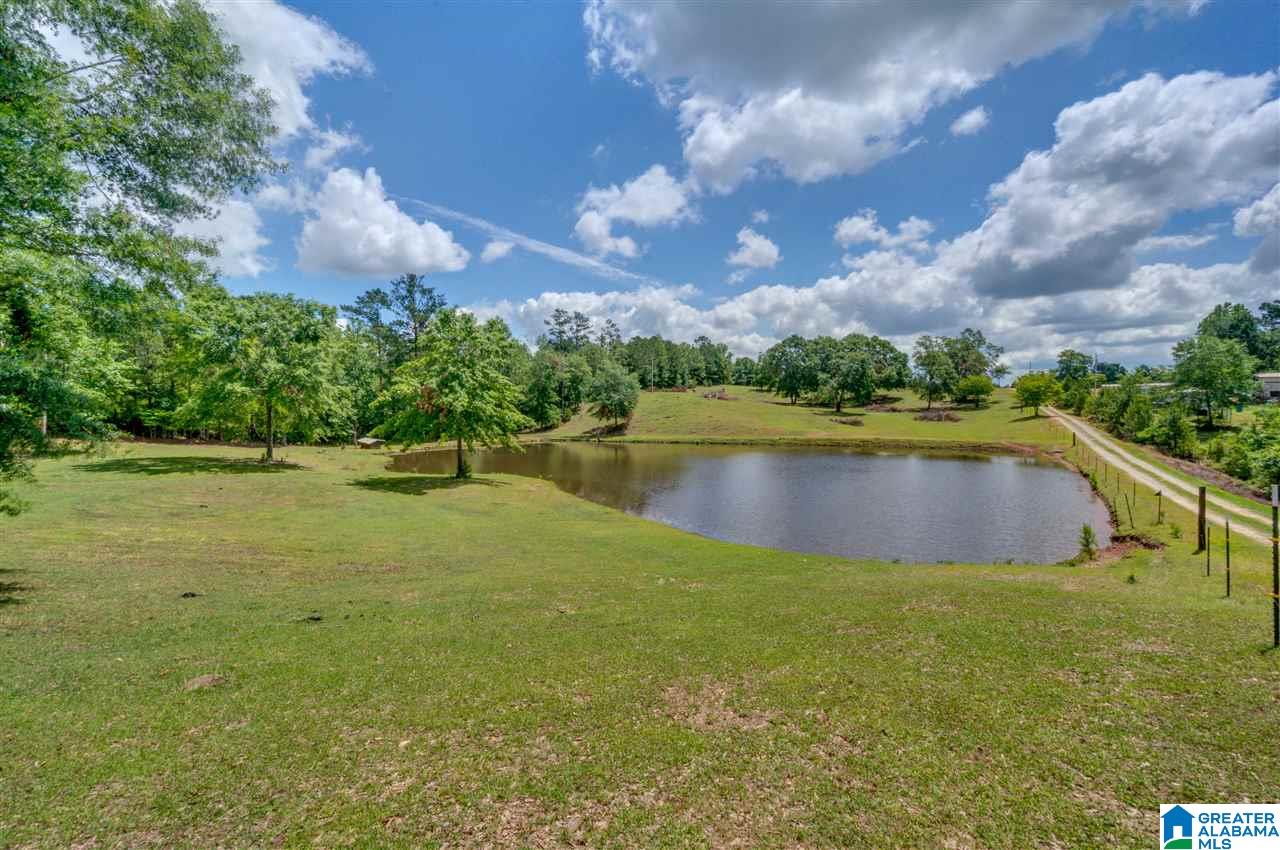349 County Road 265 Clanton, AL 35046 - Photo 49 of 50