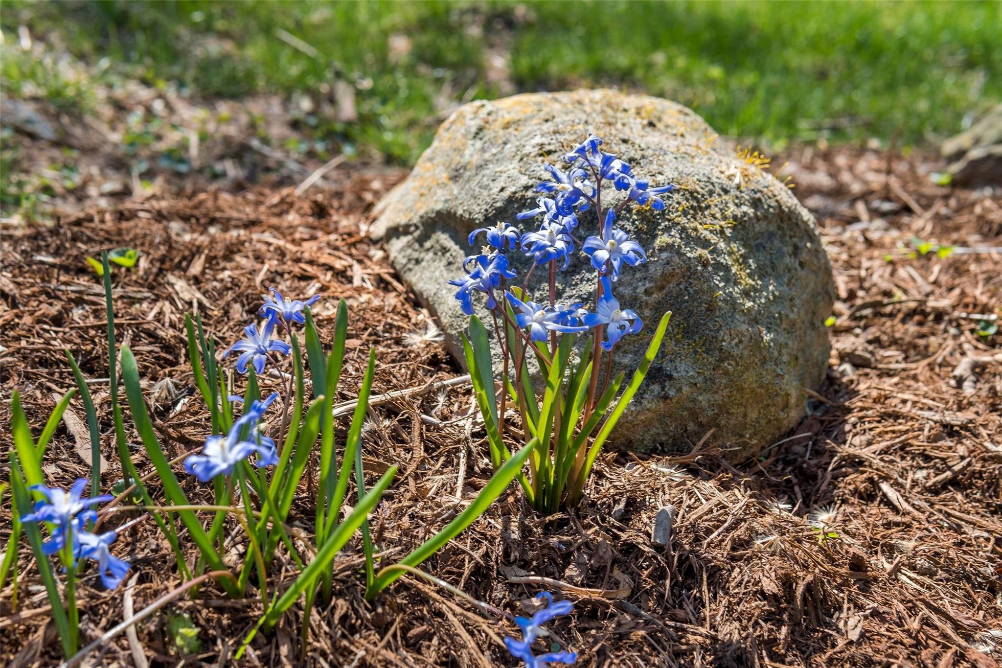 71 Ridgecrest Road Asheville, NC 28803 - Photo 6 of 30 Gallery Image 6