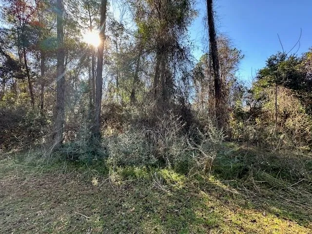 $35,000 | Xxx Lovett Road, Crawfordville, FL 32327