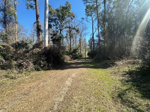 Xxx Lovett Road Crawfordville, FL 32327 - Photo 3 of 6