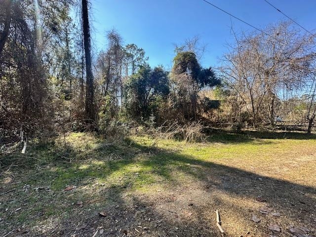 Xxx Lovett Road Crawfordville, FL 32327 - Photo 4 of 6