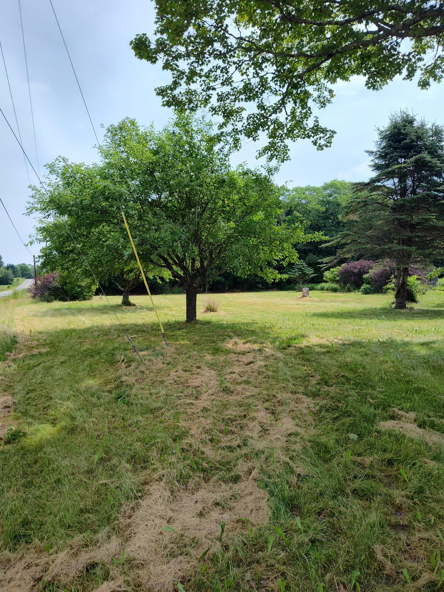 1345 Main Street Ripley, ME 04930 - Photo 5 of 40 IMG_20260707_110537687_HDR