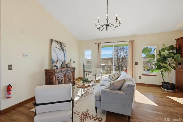 a living room with furniture a potted plant and a large window