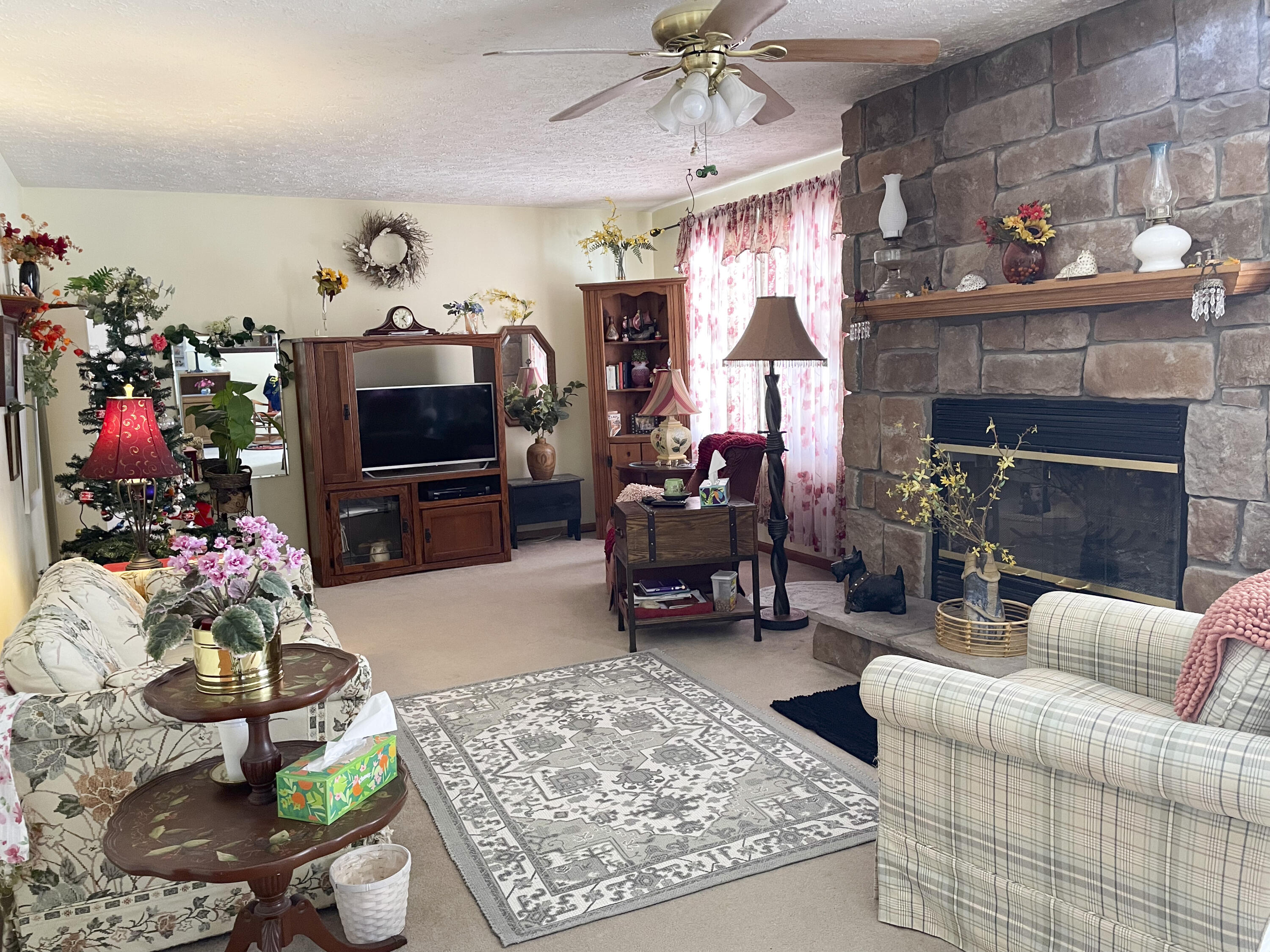 13631 Bemis Road Manchester, MI 48158 - Photo 10 of 33 Living Room