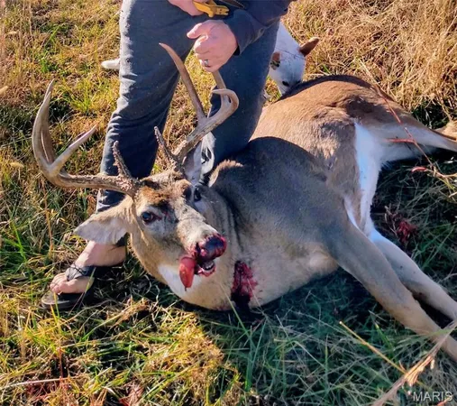 $350,000 | 1820 Hwy Nn, Bland, MO 65014