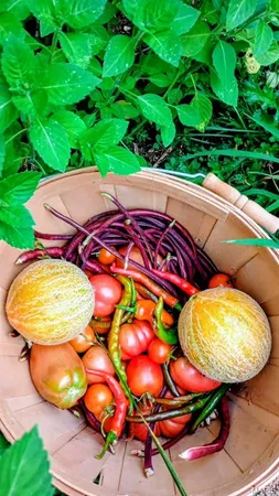 $350,000 | 1820 Hwy Nn, Bland, MO 65014