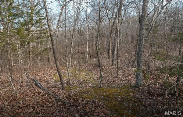 $350,000 | 1820 Hwy Nn, Bland, MO 65014