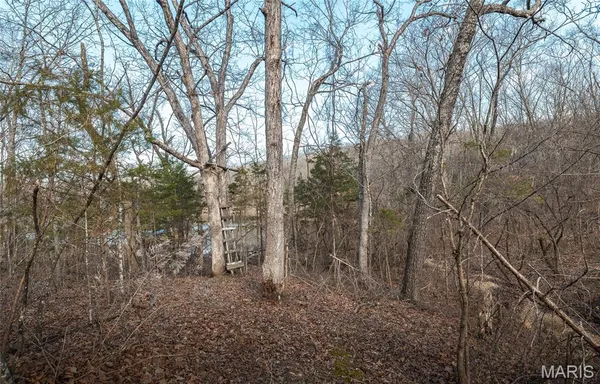 $350,000 | 1820 Hwy Nn, Bland, MO 65014