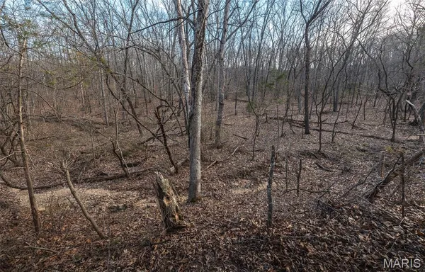 $350,000 | 1820 Hwy Nn, Bland, MO 65014