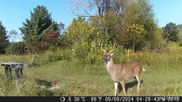 $350,000 | 1820 Hwy Nn, Bland, MO 65014