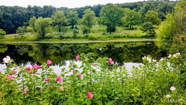 $350,000 | 1820 Hwy Nn, Bland, MO 65014