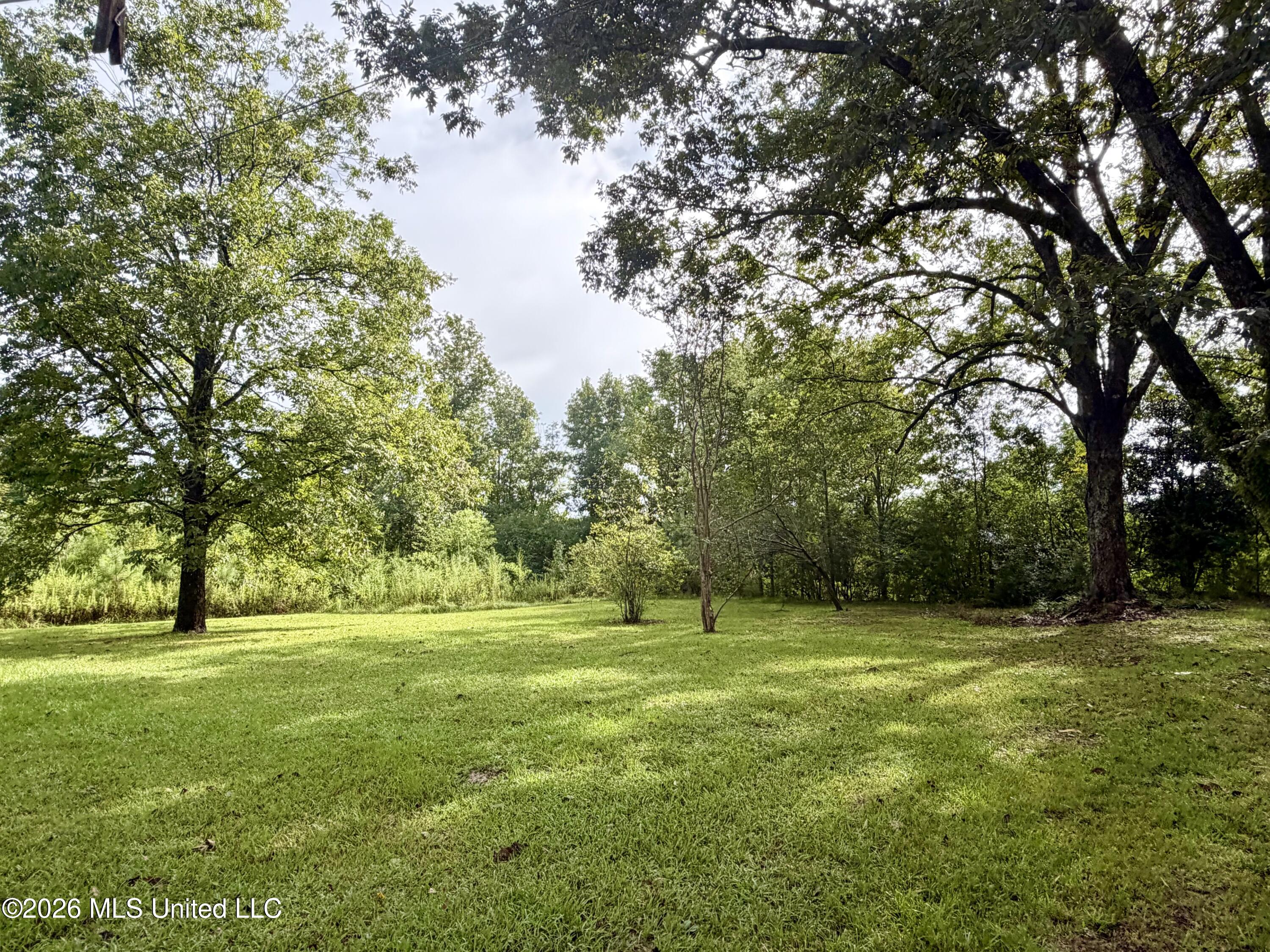 9145 Bogue Chitto Road McCall Creek, MS 39647 - Photo 5 of 24 IMG_3435