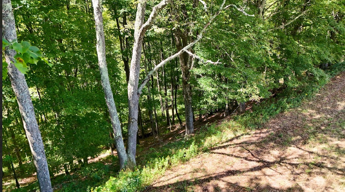 100 Pomeroy Road Franklin, NY 13775 - Photo 11 of 17