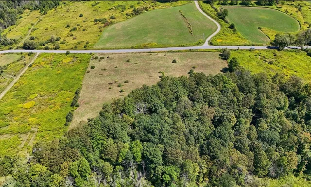 $69,000 | 100 Pomeroy Road, Franklin, NY 13775