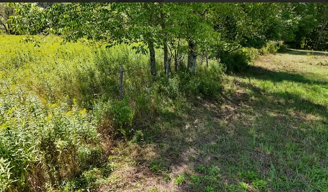 $69,000 | 100 Pomeroy Road, Franklin, NY 13775