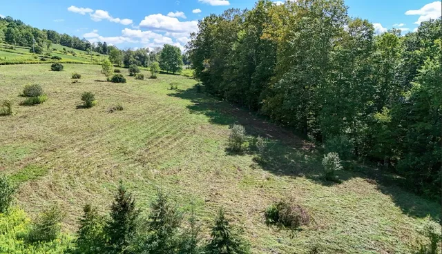 $69,000 | 100 Pomeroy Road, Franklin, NY 13775