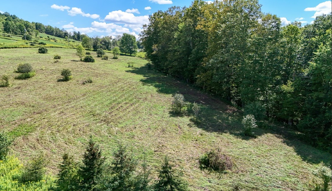 100 Pomeroy Road Franklin, NY 13775 - Photo 7 of 17