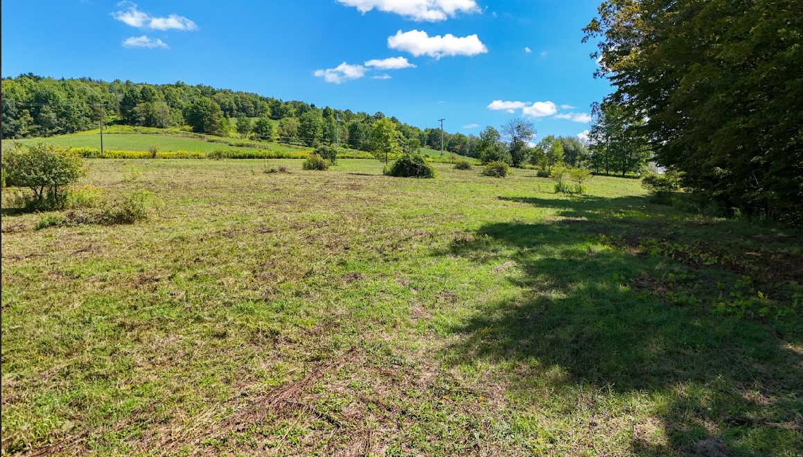 100 Pomeroy Road Franklin, NY 13775 - Photo 8 of 17