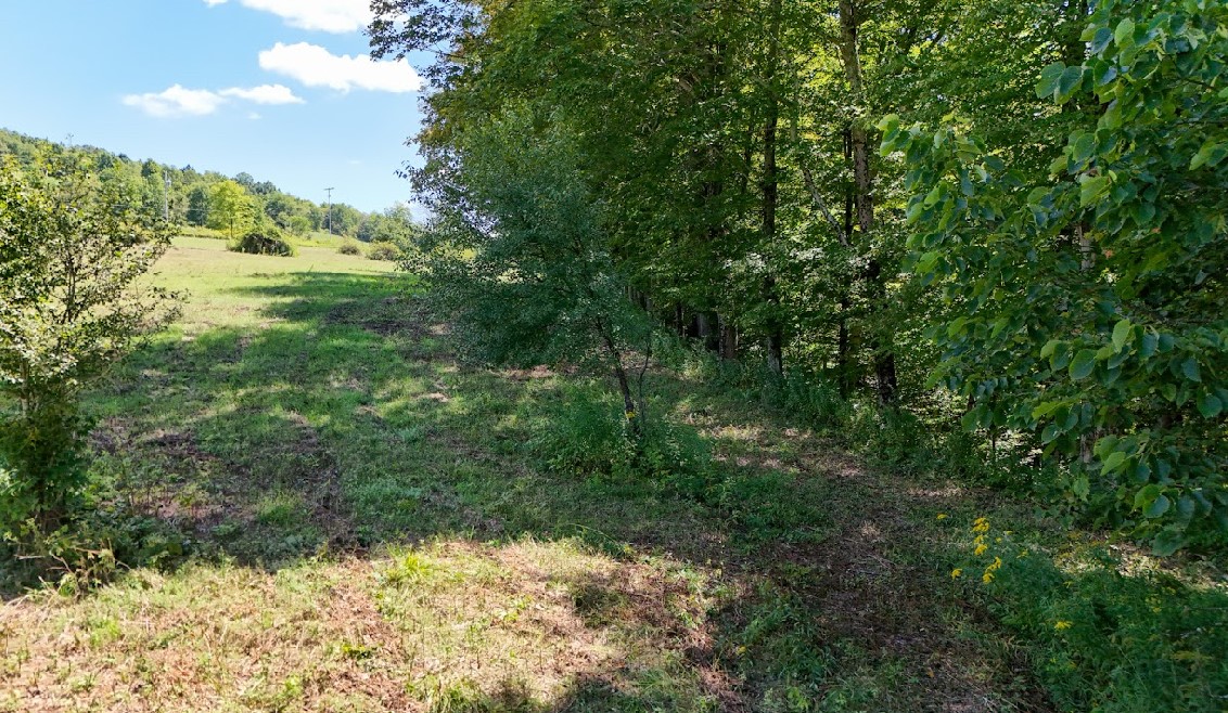 100 Pomeroy Road Franklin, NY 13775 - Photo 9 of 17