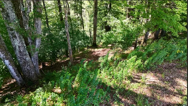 $69,000 | 100 Pomeroy Road, Franklin, NY 13775