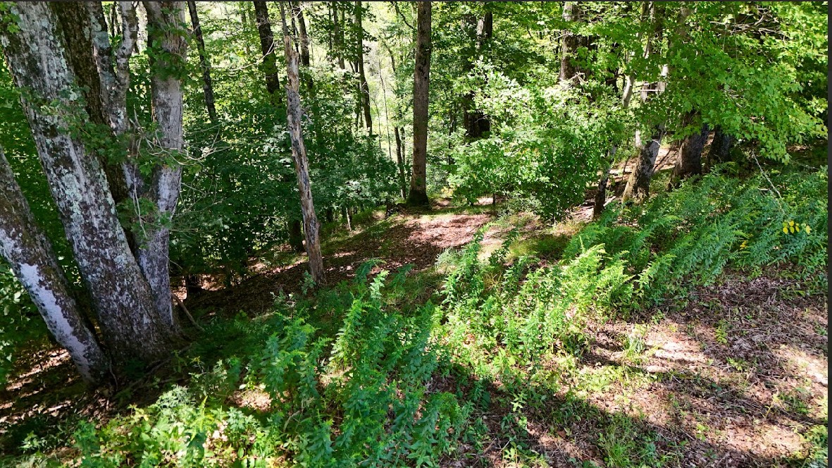 100 Pomeroy Road Franklin, NY 13775 - Photo 10 of 17