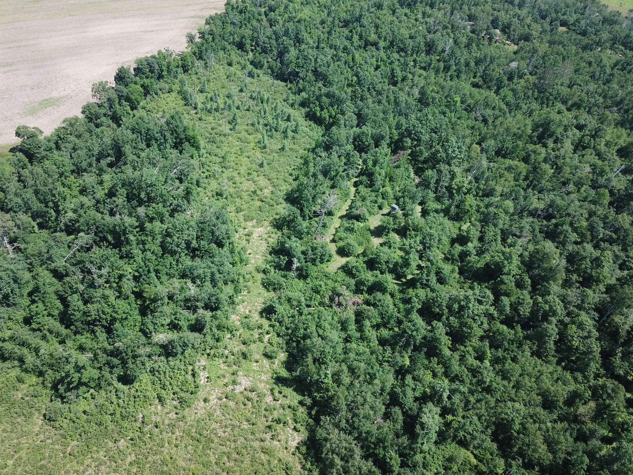 Tbd Boot Lake Road Southwest Bemidji, MN 56601 - Photo 8 of 55
