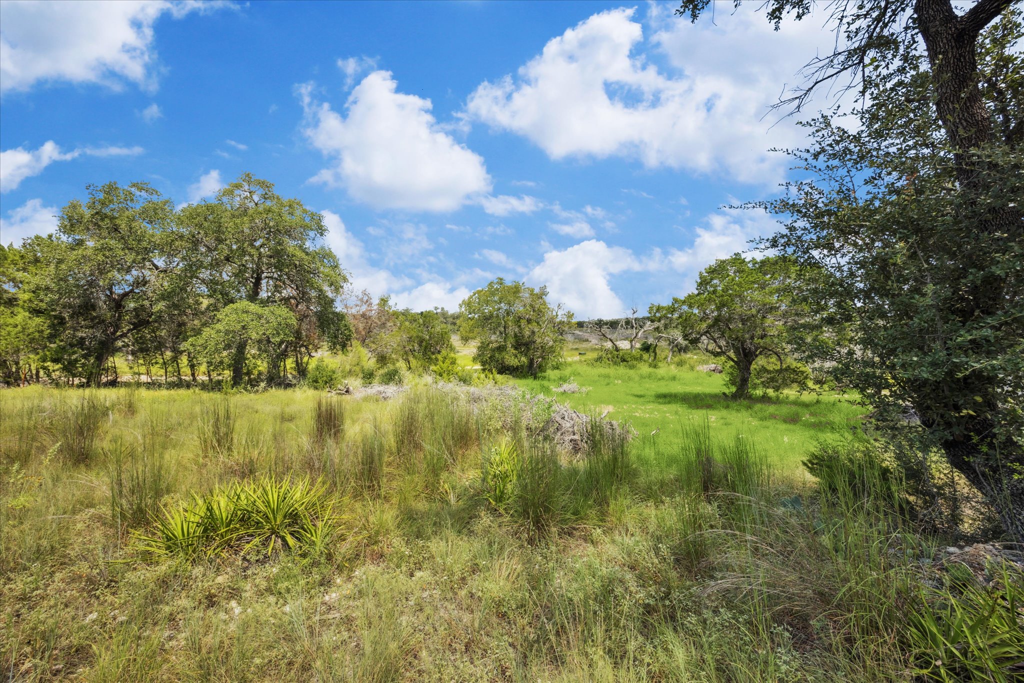 1102 Debco Lane Spicewood, TX 78669 - Photo 3 of 10 View of undeveloped land